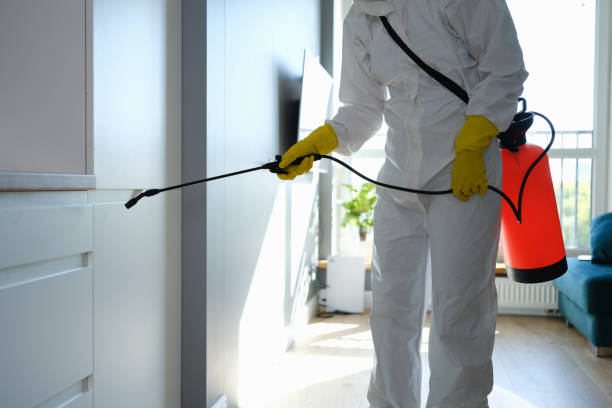 Why You Should Choose Our Mold Remediation Services in Frankfort, KY